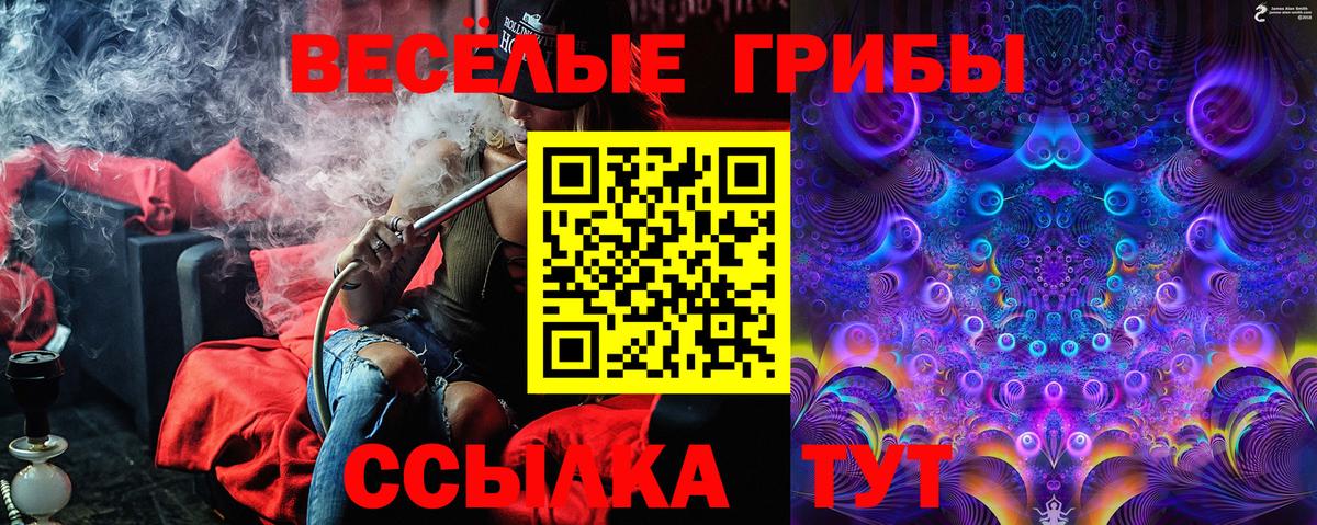 Гуково  Псилоцибиновые грибы Psilocybine cubensis  Псилоцибиновые грибы Cubensis  Вход с VPN 